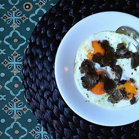 אורחן Divinis *