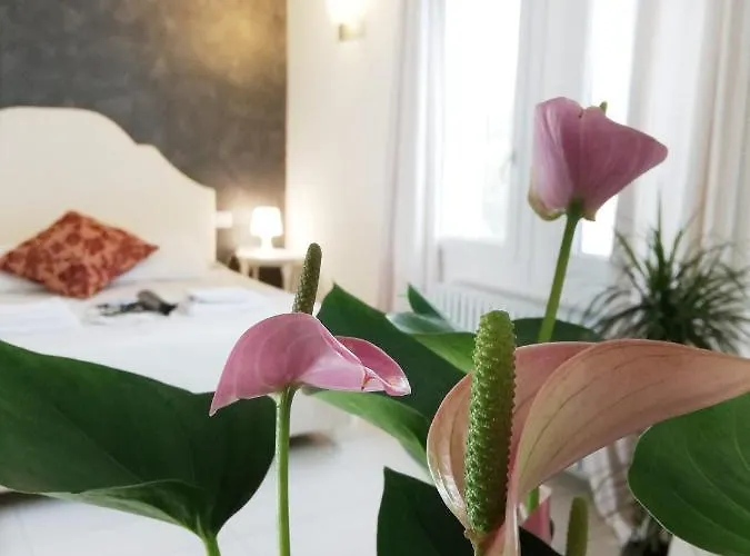 Divinis אורחן *